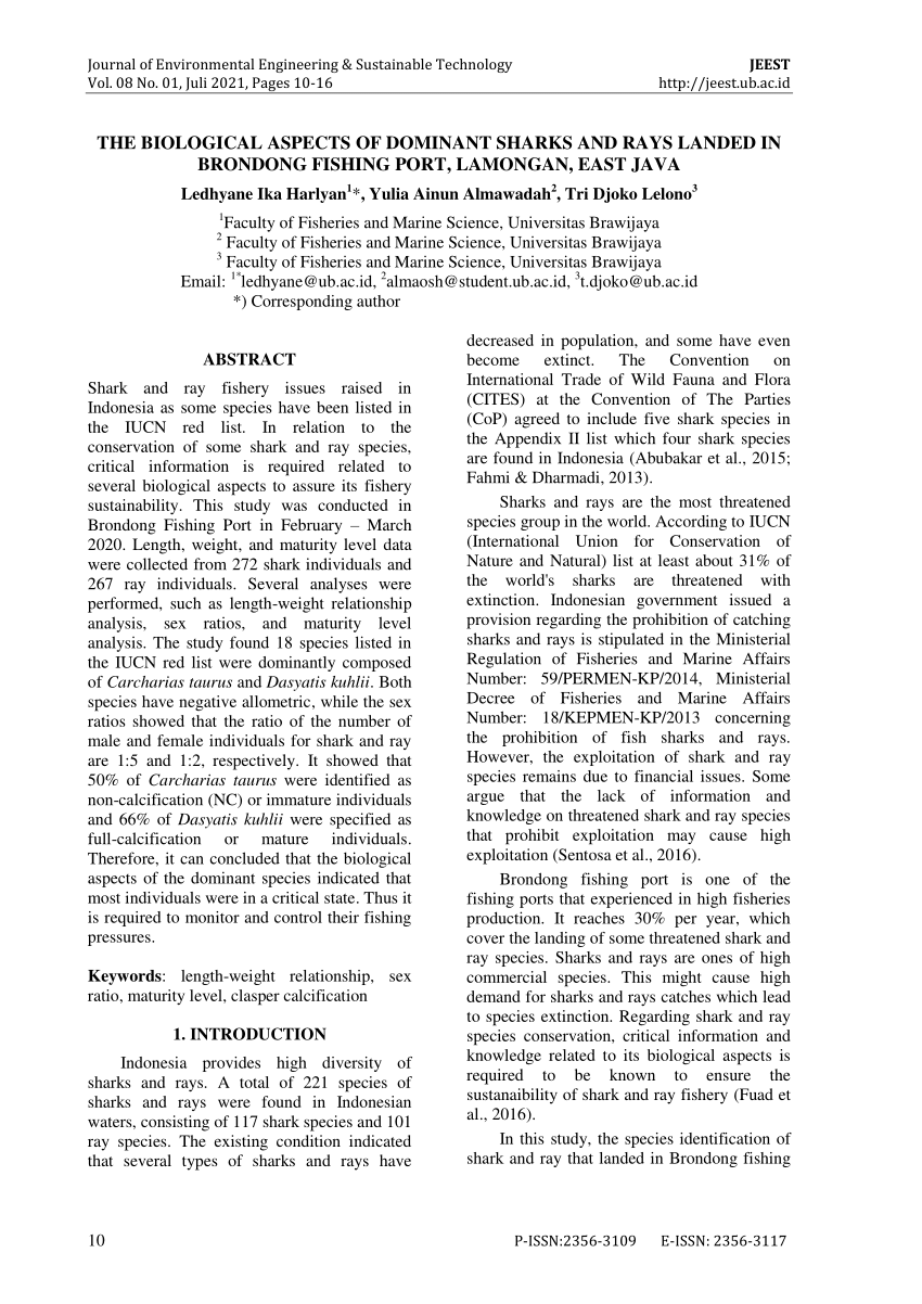 PDF) The biological aspects of dominant sharks and rays landed in Brondong  fishing port, Lamongan, East Java