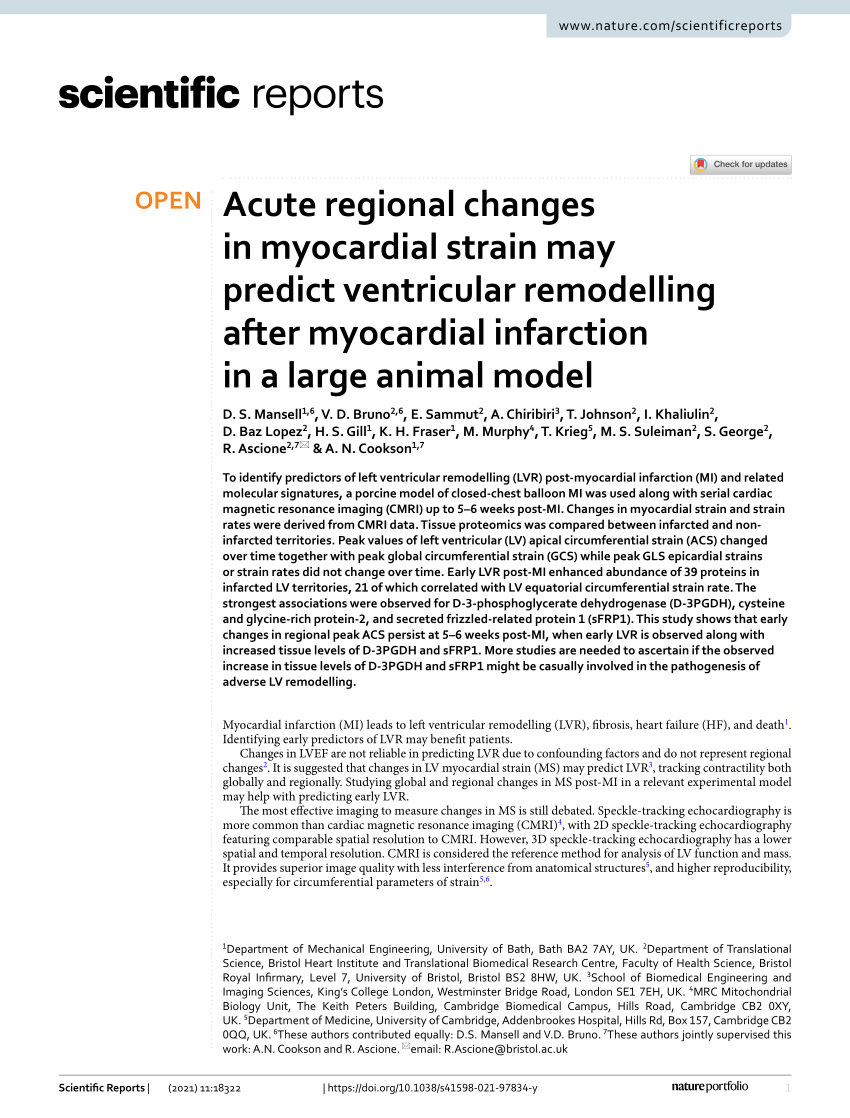 Acute regional changes in myocardial strain may predict ventricular  remodelling after myocardial infarction in a large animal model