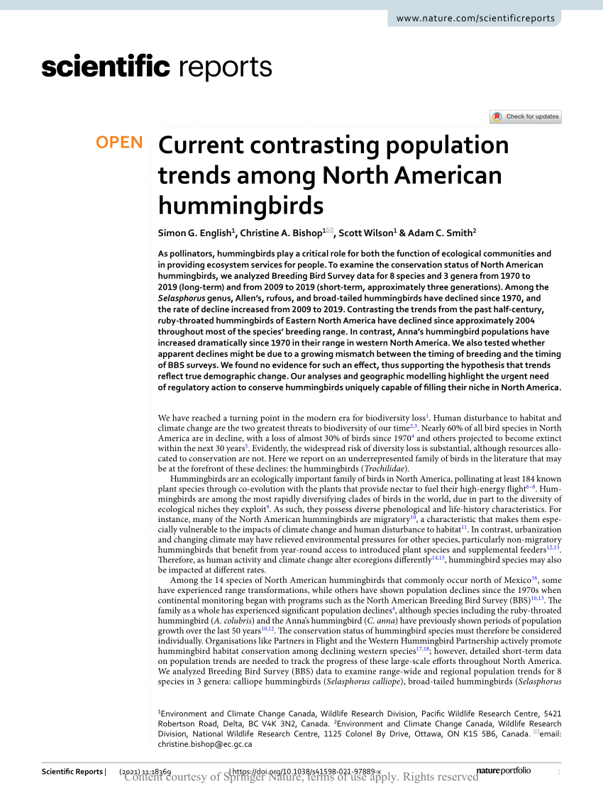 PDF) Current contrasting population trends among North American hummingbirds picture