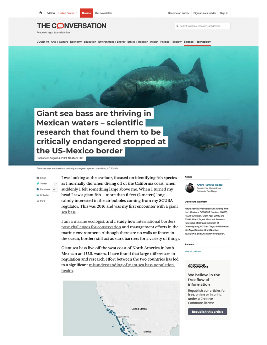 Pdf Giant Sea Bass Are Thriving In Mexican Waters Scientific Research That Found Them To Be