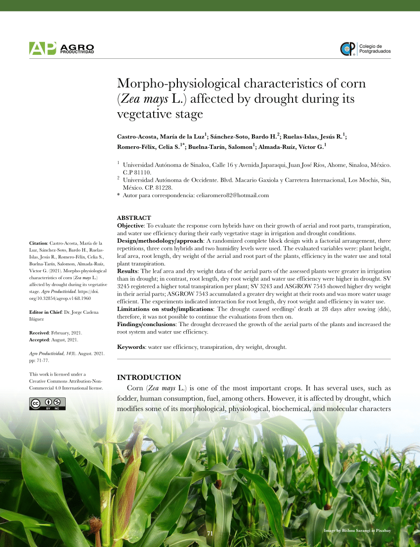 pdf-morpho-physiological-characteristics-of-corn-zea-mays-l-affected-by-drought-during-its