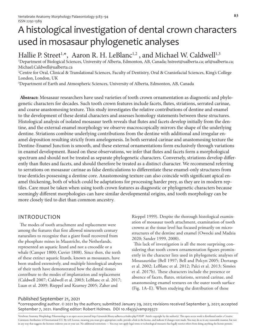 (PDF) A histological investigation of dental crown characters used in