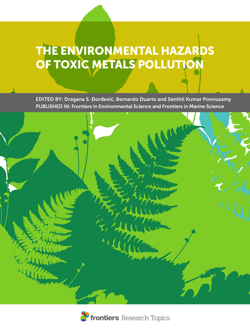 PDF) The Environmental Hazards of Toxic Metals Pollution