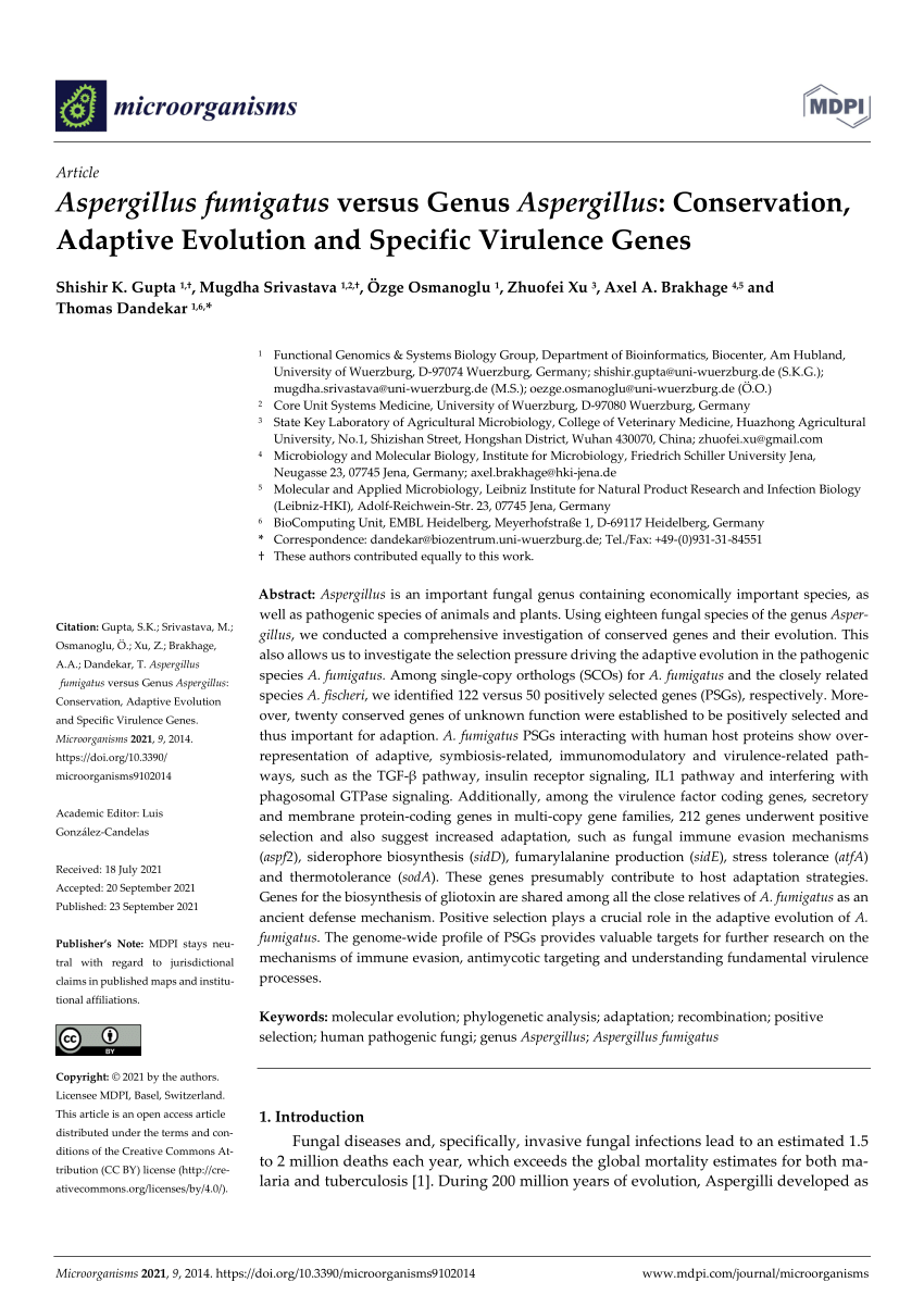 PDF) Aspergillus fumigatus versus Genus Aspergillus: Conservation 