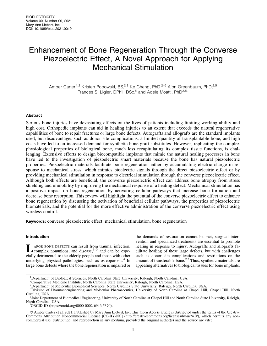 The role of mechanical stimulation in the enhancement of bone