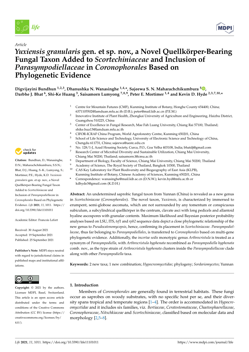 Pdf Yuxiensis Granularis Gen Et Sp Nov A Novel Quellkorper Bearing Fungal Taxon Added To Scortechiniaceae And Inclusion Of Parasympodiellaceae In Coronophorales Based On Phylogenetic Evidence