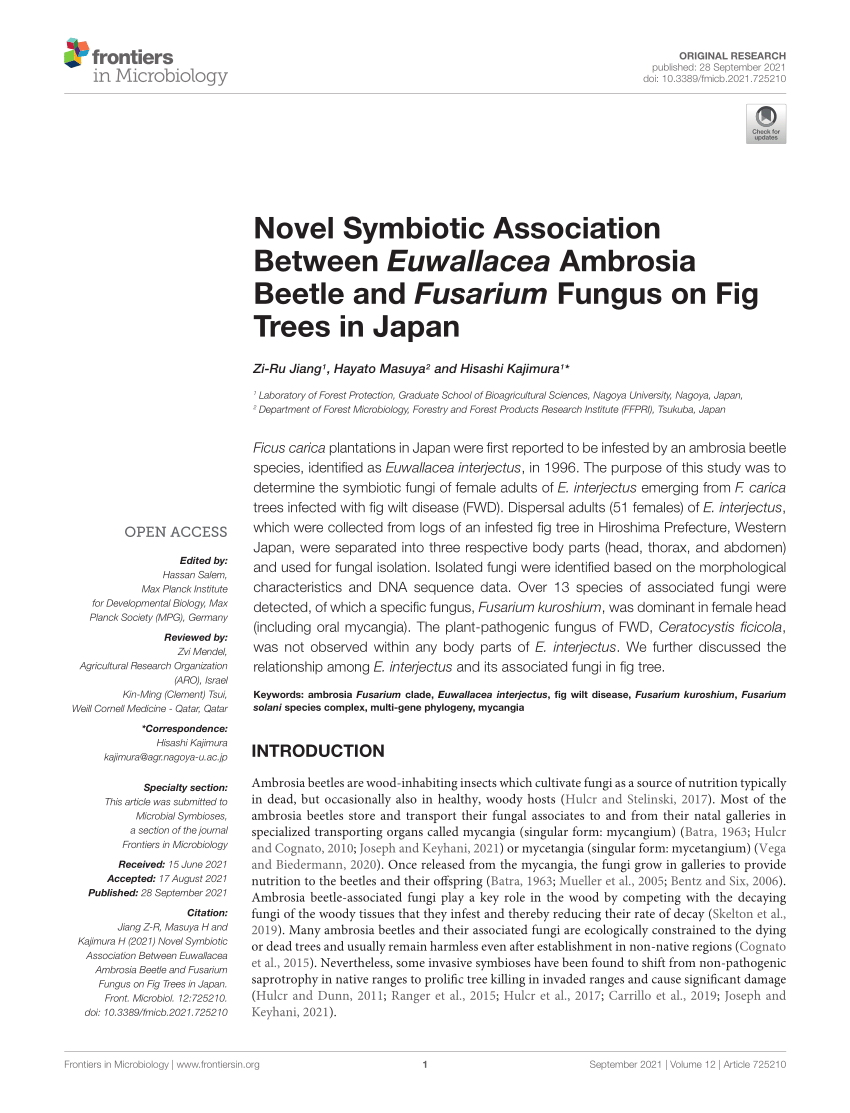 (PDF) Novel Symbiotic Association Between Euwallacea Ambrosia Beetle ...