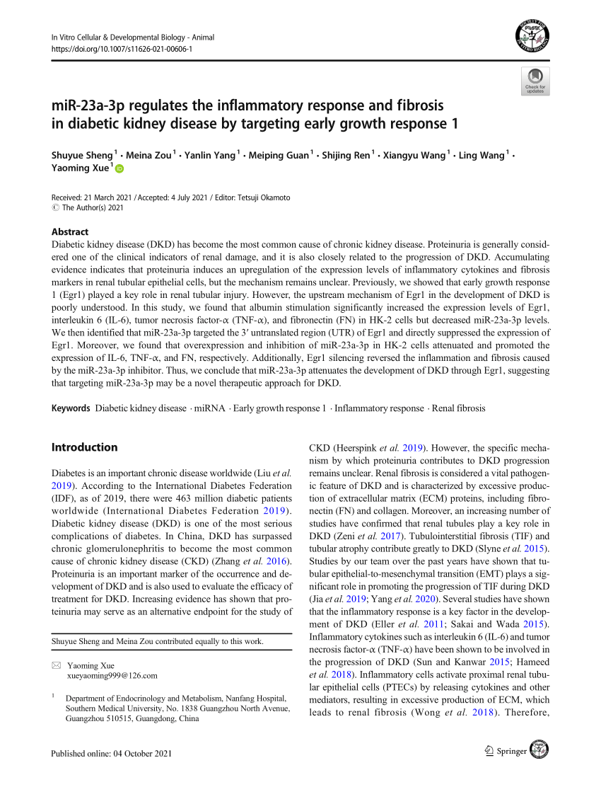 Pdf Mir 23a 3p Regulates The Inflammatory Response And Fibrosis In