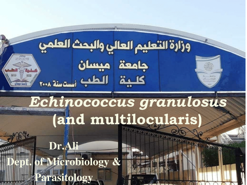 pdf-echinococcus-granulosus-and-multilocularis