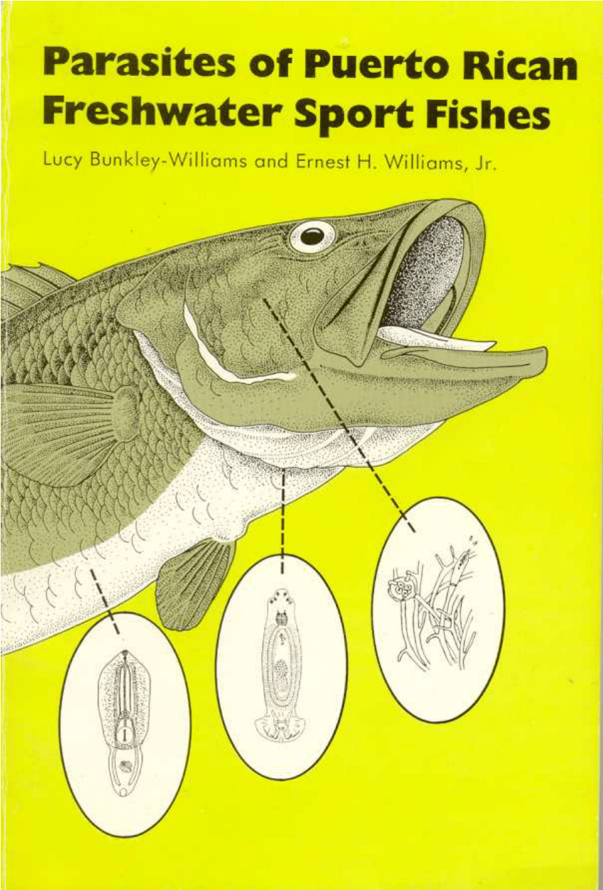 PDF) PARASITES OF PUERTO RICAN FRESHWATER SPORT FISHES