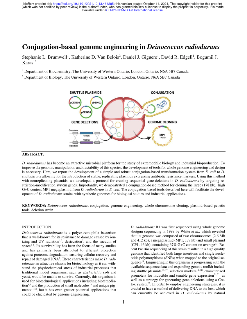 Conjugation-based genome engineering in Deinococcus radiodurans