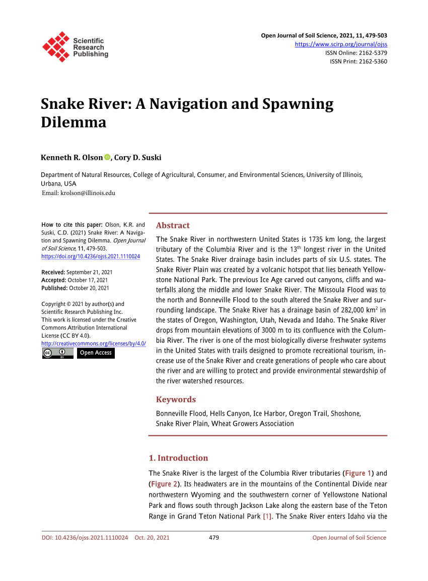 (PDF) Snake River: A Navigation and Spawning Dilemma