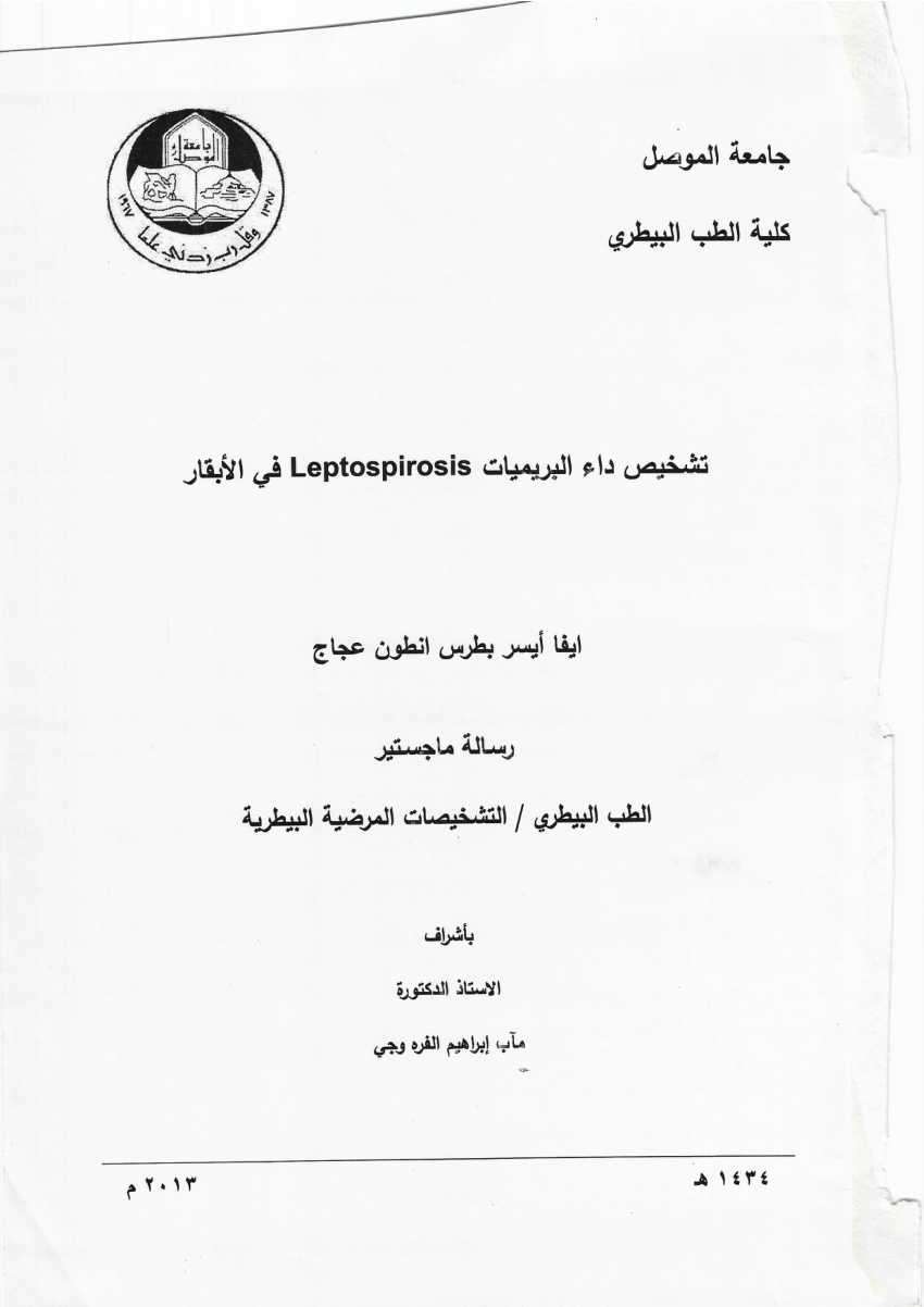 thesis master pdf