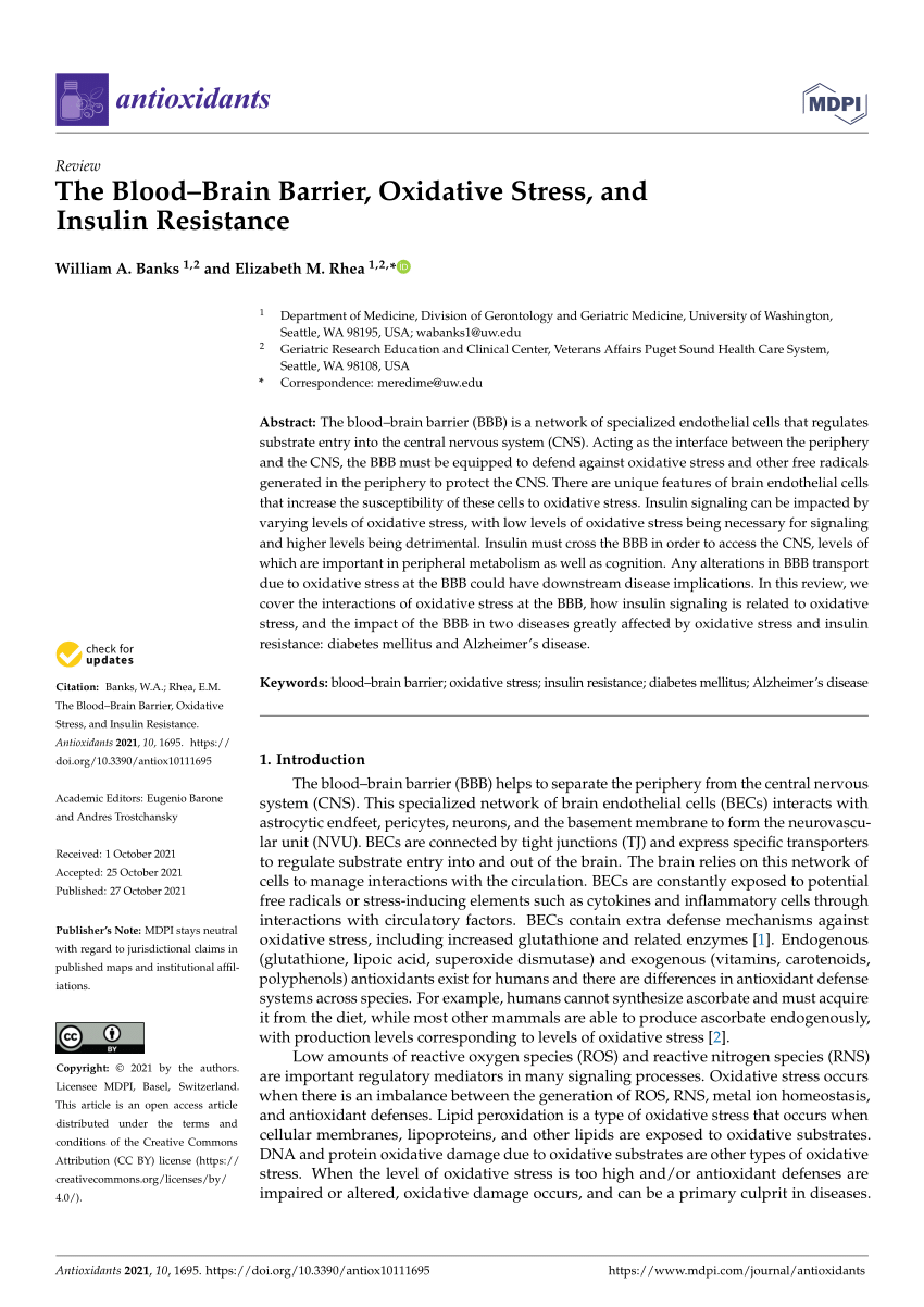 PDF) The Blood–Brain Barrier, Oxidative Stress, and Insulin Resistance