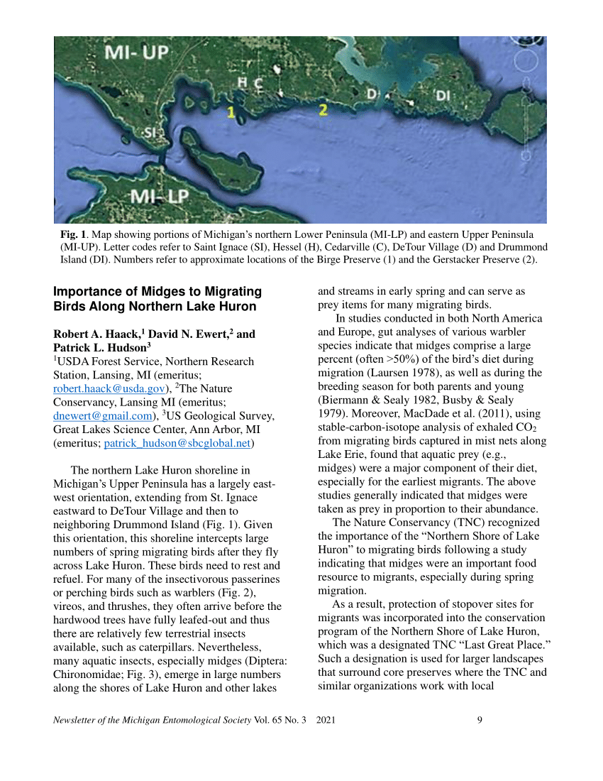 (PDF) Importance of Midges to Migrating Birds Along Northern Lake Huron