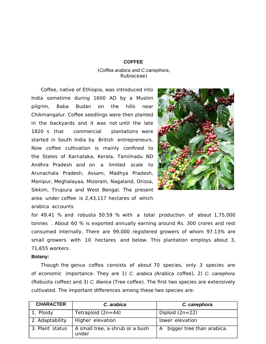 coffee plantation business plan pdf