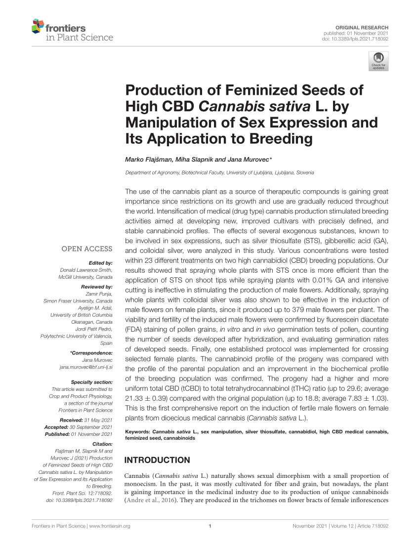 PDF) Production of Feminized Seeds of High CBD Cannabis sativa L