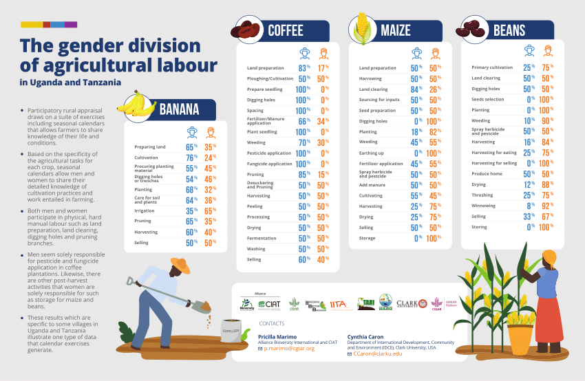 gender division of labour essay