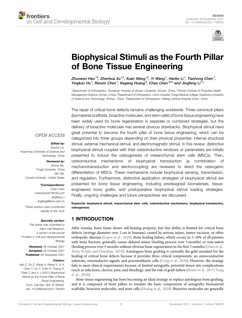 PDF) Biophysical Stimuli as the Fourth Pillar of Bone Tissue 