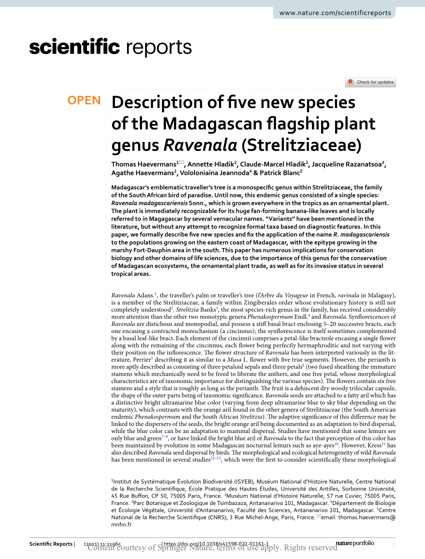 Species of Ravenala in their natural habitat. (a) R. agatheae. (b) R.