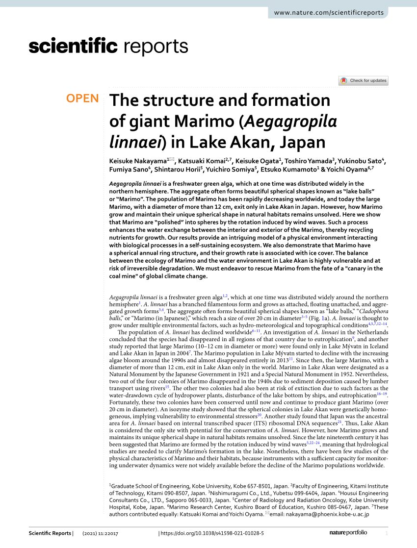 A geometrical approach explains Lake Ball (Marimo) formations in