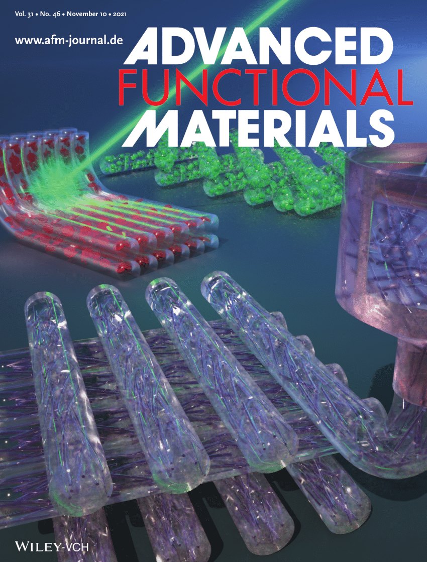 Advanced Functional Materials: Vol 31, No 10