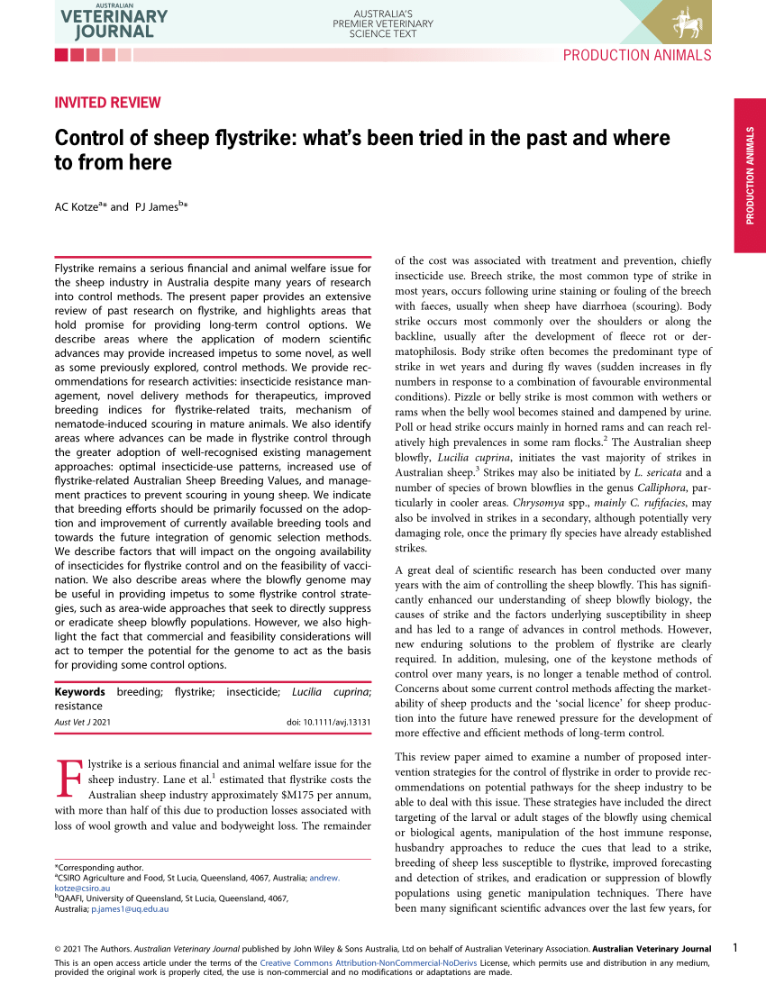 PDF) Control of sheep flystrike: what's been tried in the past and 