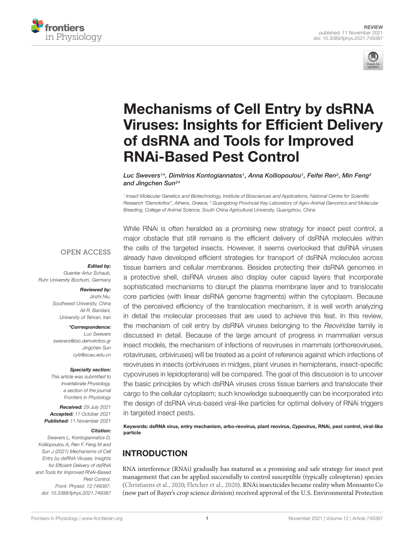 PDF) Mechanisms of Cell Entry by dsRNA Viruses: Insights for 