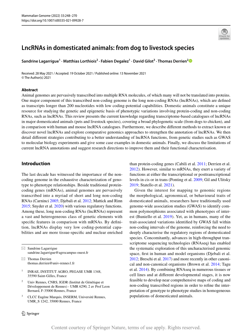 (PDF) LncRNAs in domesticated animals: from dog to livestock species