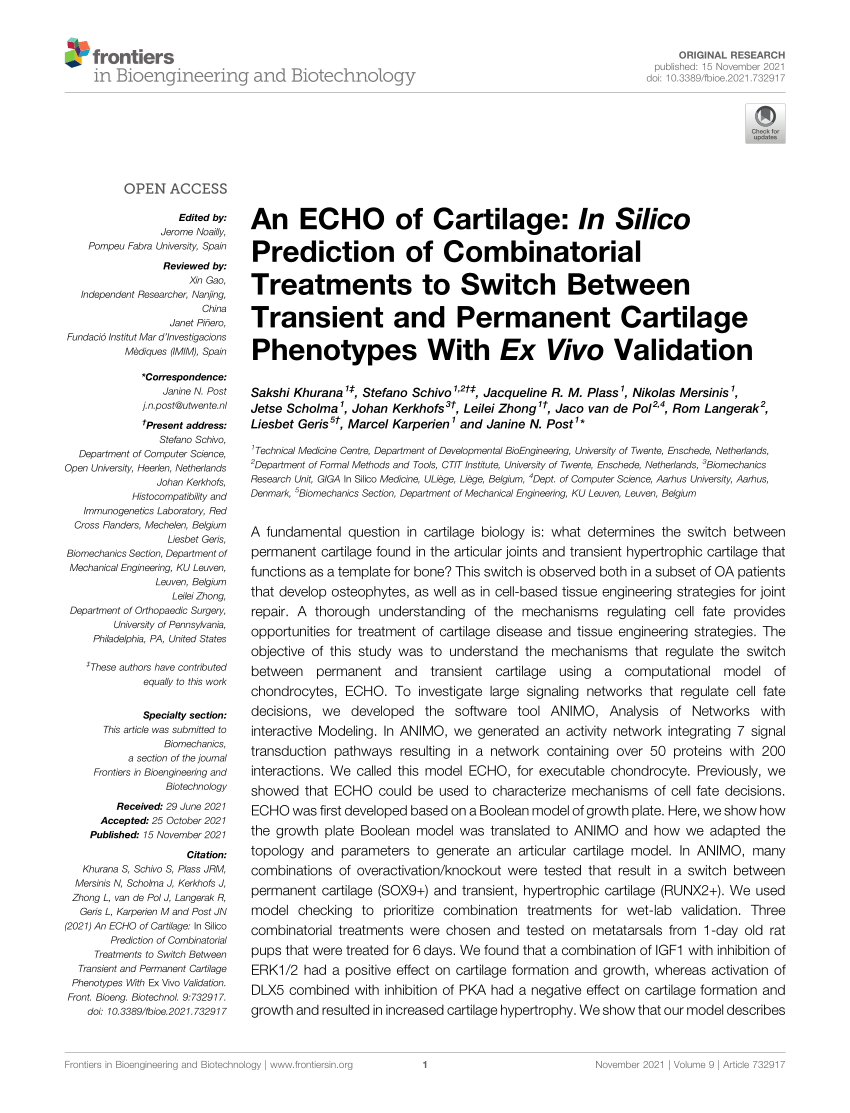 An ECHO of Cartilage: In Silico Prediction of Combinatorial Treatments to Switch Between Transient Permanent Cartilage Phenotypes With Ex Vivo Validation