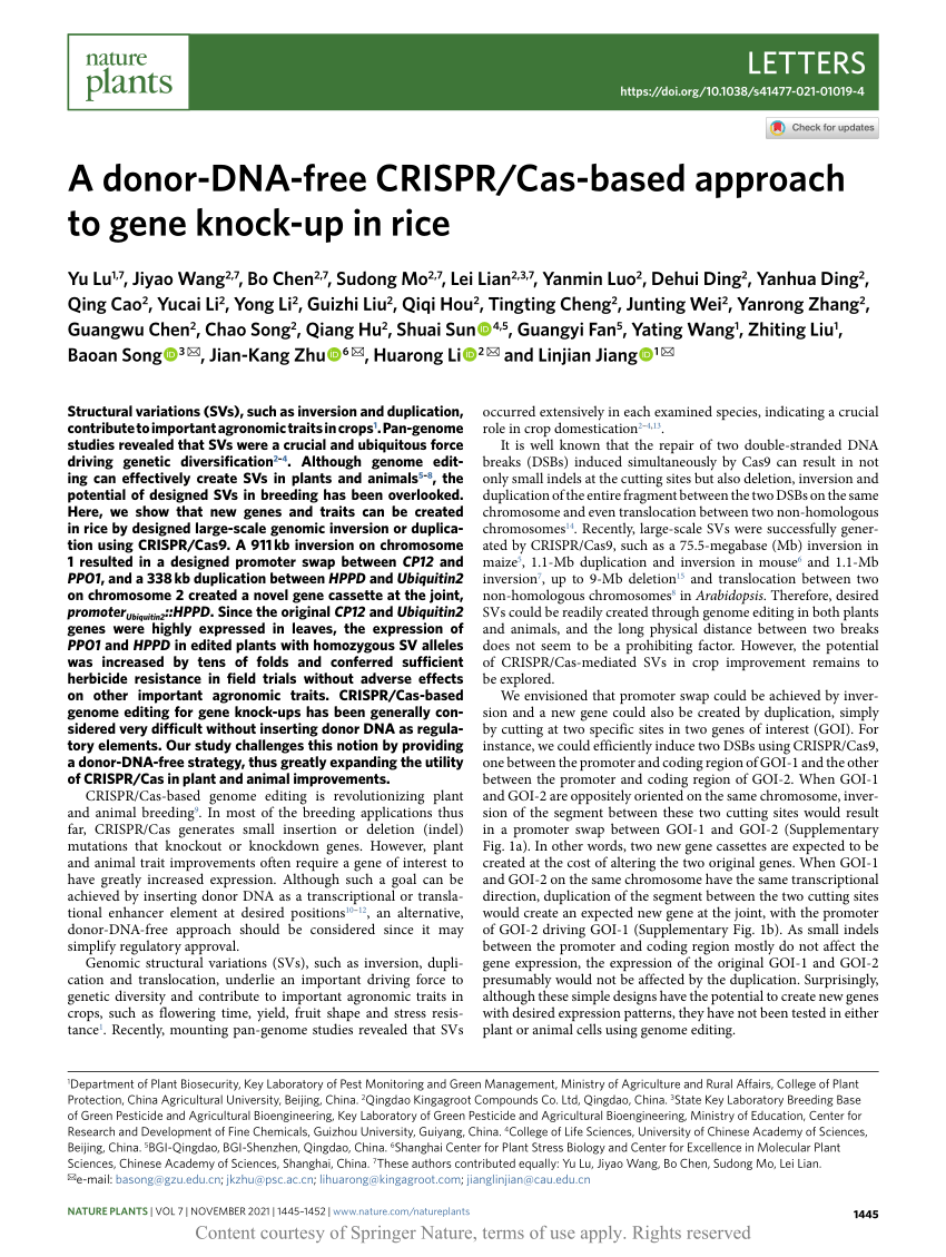 A donor DNA free CRISPR/Cas based approach to gene knock up in rice