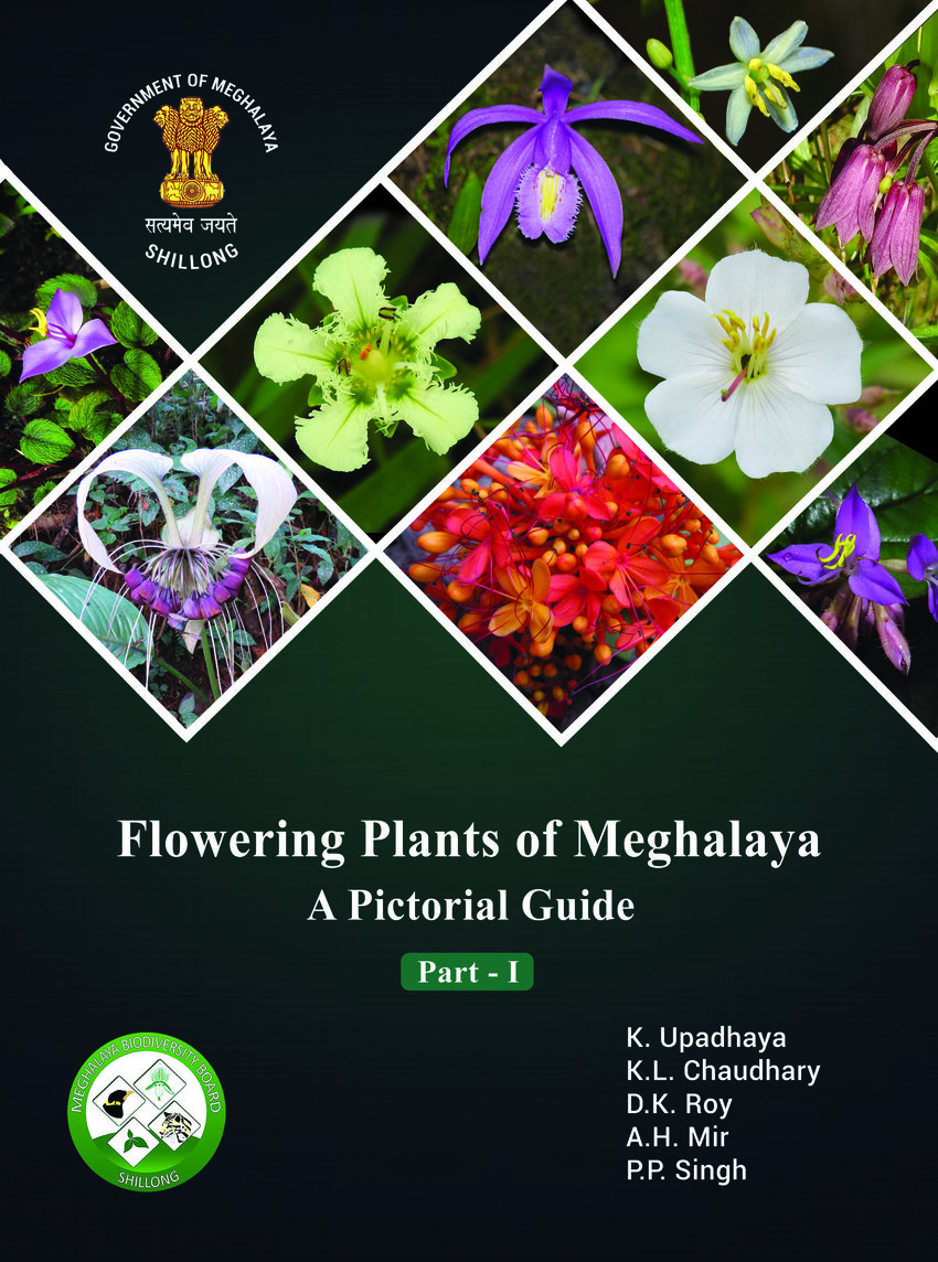 Pdf Flowering Plants Of Meghalaya A