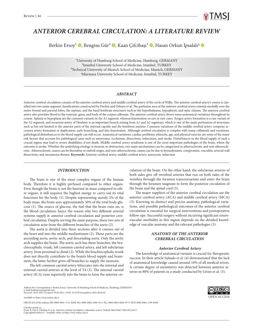 literature review circulation