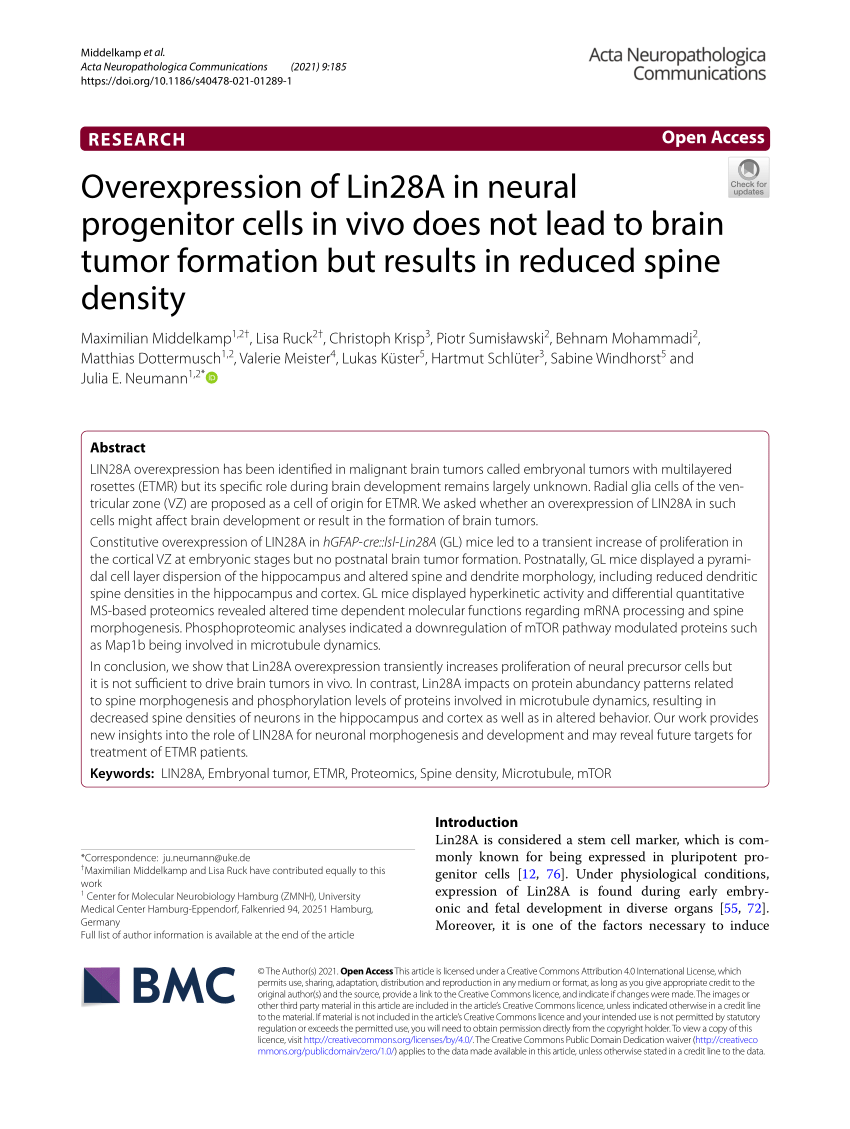 PDF) Overexpression of Lin28A in neural progenitor cells in vivo 