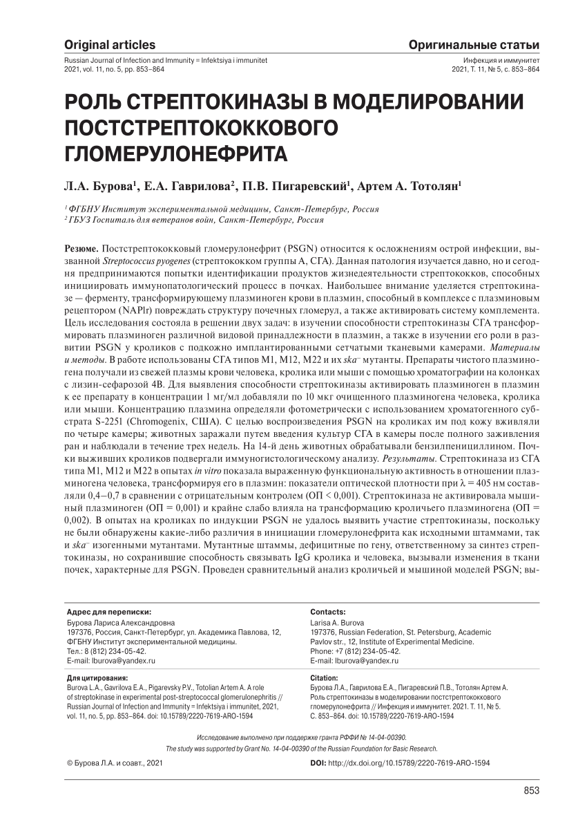 PDF) A role of streptokinase in experimental post-streptococcal  glomerulonephritis