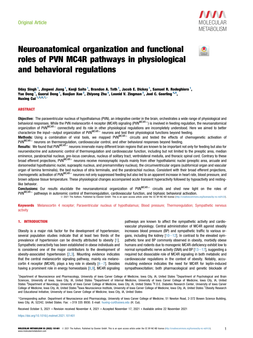 Neuroanatomical organization and functional roles of PVN MC4R pathways in  physiological and behavioral regulations