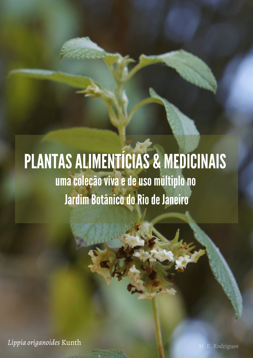 PDF) USO DE PLANTAS MEDICINAIS NA COMUNIDADE QUILOMBOLA DO BAIXO
