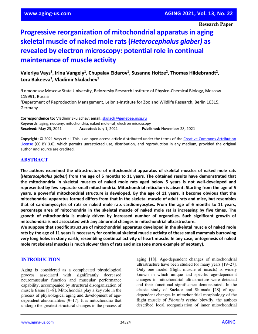 PDF Progressive Reorganization Of Mitochondrial Apparatus In Aging Skeletal Muscle Of Naked