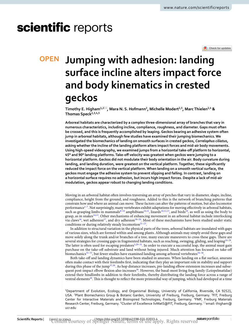 Pdf Jumping With Adhesion Landing Surface Incline Alters Impact Force And Body Kinematics In Crested Geckos