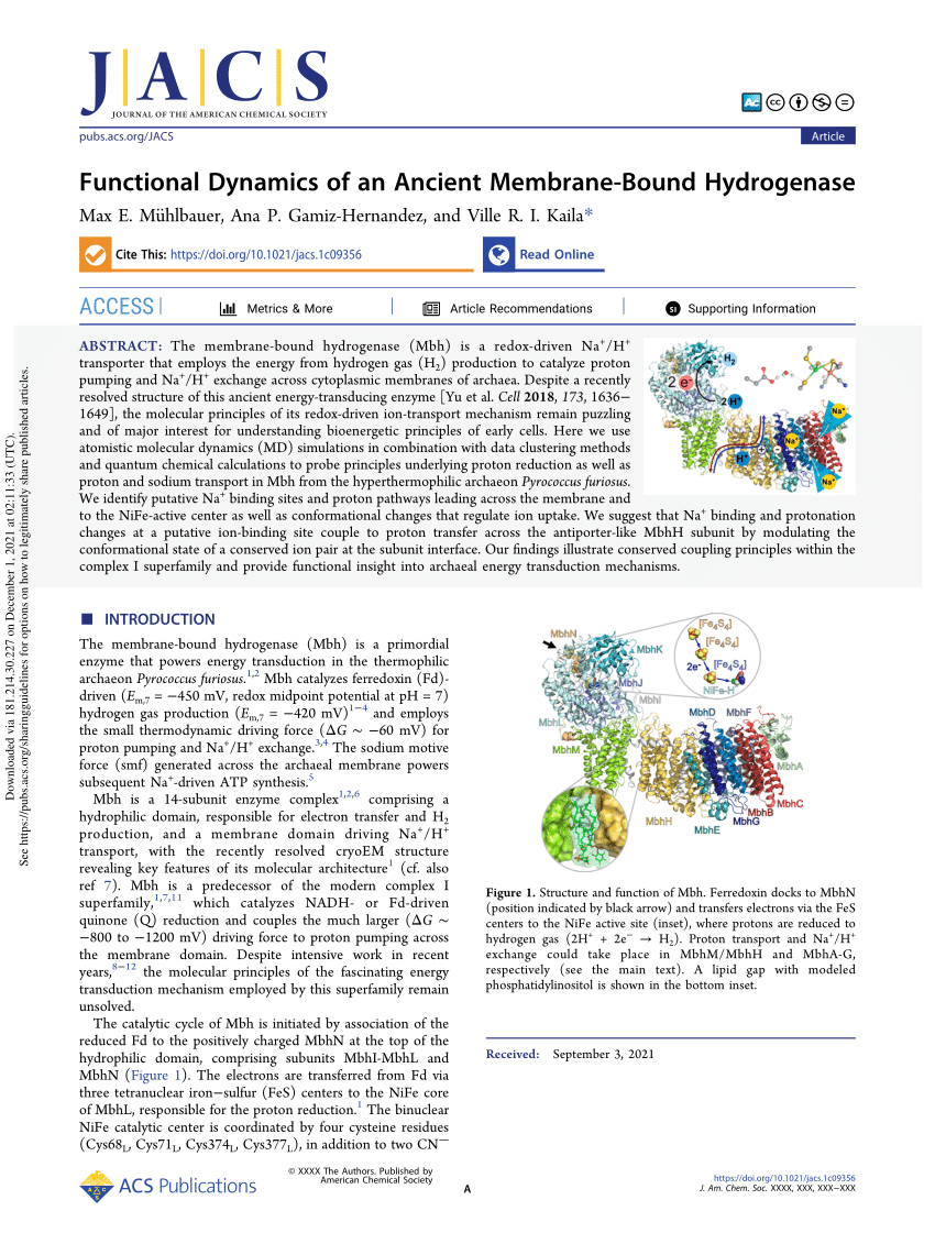 Ancient Membrane-Bound Hydrogenase