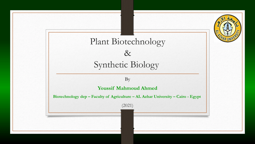 plant biotechnology research papers pdf