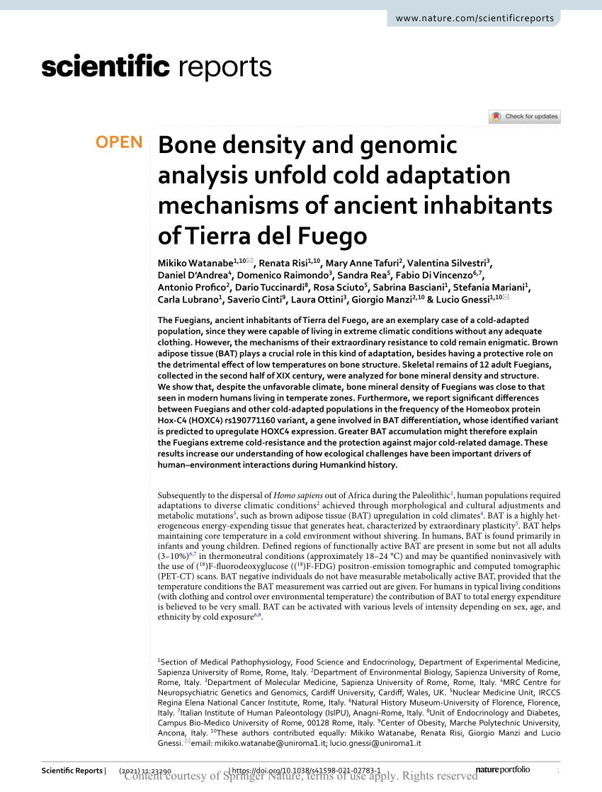 Bone density and genomic analysis unfold cold adaptation mechanisms of  ancient inhabitants of Tierra del Fuego