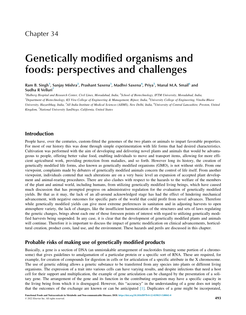 genetically modified foods research paper