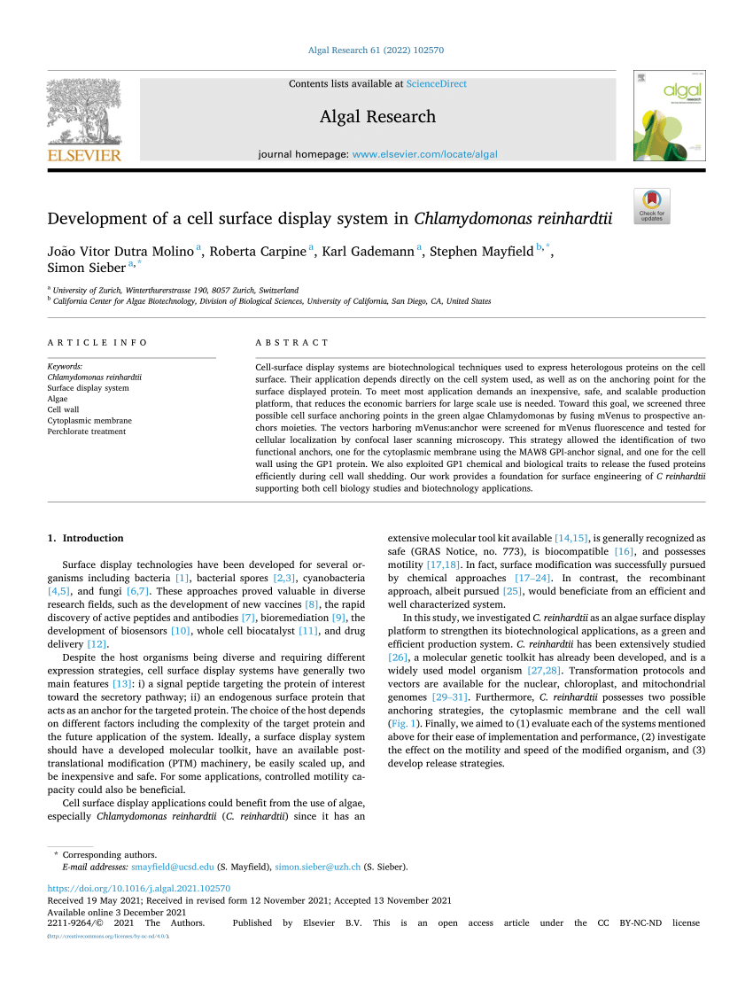 Rapid characterization of spike variants via mammalian cell surface display  - ScienceDirect