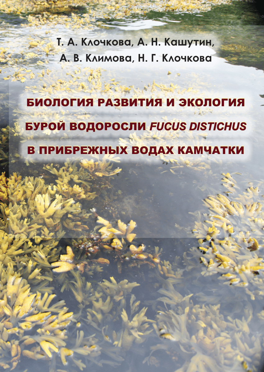 PDF) Developmental biology and ecology of the brown alga Fucus distichusfrom the coastal waters of Kamchatka
