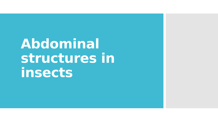 (PDF) Abdominal structures in insects