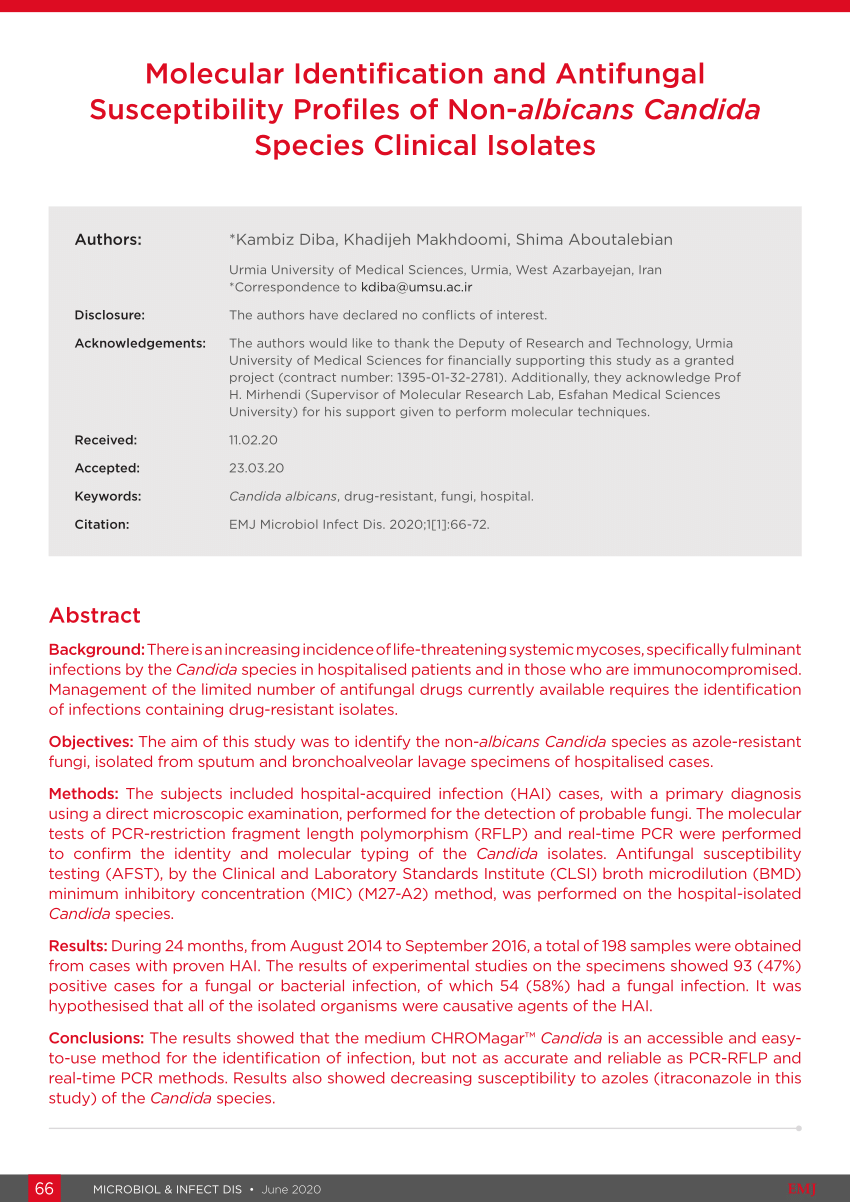 Pdf Molecular Identification And Antifungal Susceptibility Profiles Of Non Albicans Candida 