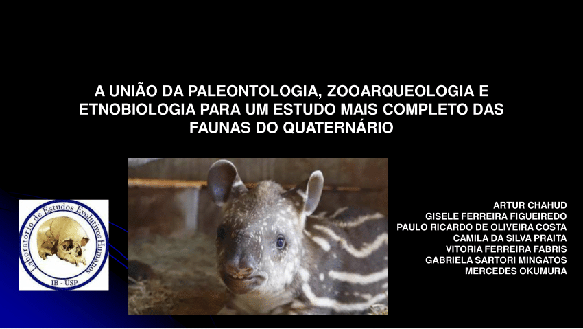 Animal Capivara PNG , Capivara, Animal, Animais Raros PNG Imagem para  download gratuito
