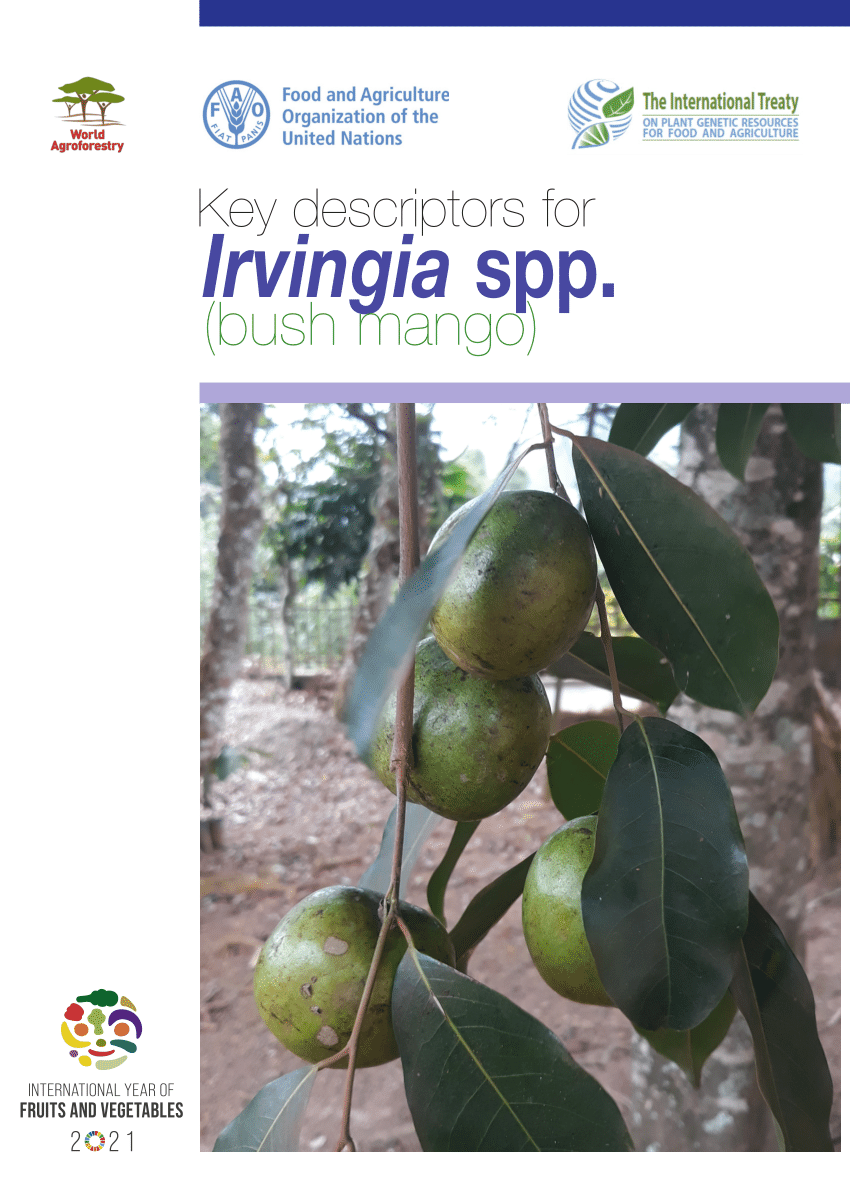 Pdf Key Descriptors For Irvingia Spp Bush Mango