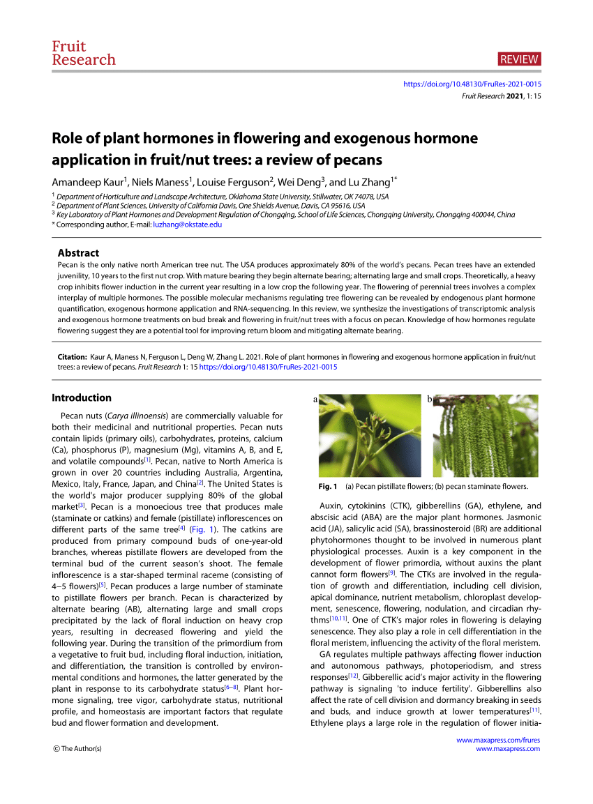 plant hormones research paper